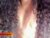 ♀️ briana_rios Free Cam @ Chaturbate