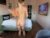 ♀️♂️ deva_alice Free Cam @ Chaturbate