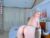 ♀️ emmablondee Free Cam @ Chaturbate