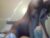 ♀️♂️ incognitocoupl3 Free Cam @ Chaturbate