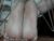 ♀️ nasha__brown Free Cam @ Chaturbate