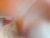 ♂️ tommy_jamm Free Cam @ Chaturbate